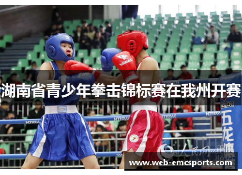 湖南省青少年拳击锦标赛在我州开赛