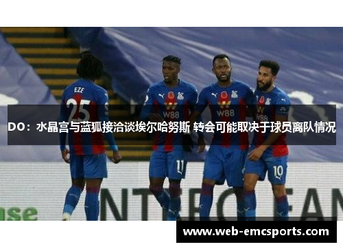 DO：水晶宫与蓝狐接洽谈埃尔哈努斯 转会可能取决于球员离队情况